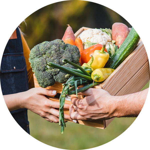 person giving someone a box of fresh vegetables