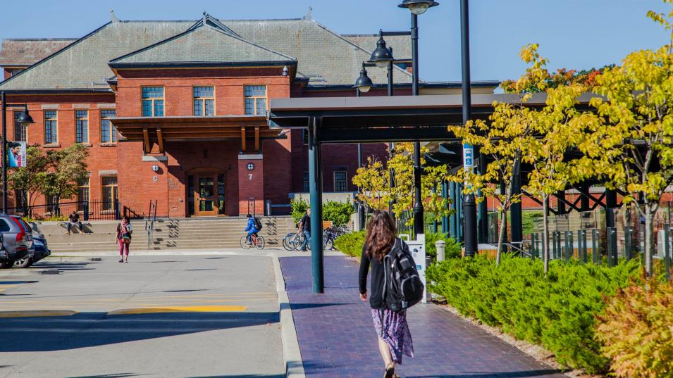 Students walk to and from C Building, one of the cottages on Lakeshore campus during autumn.