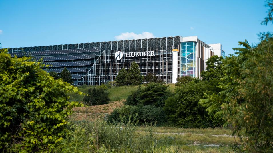 A building covered in solar panels looks out on the green space at Humber College's North Campus