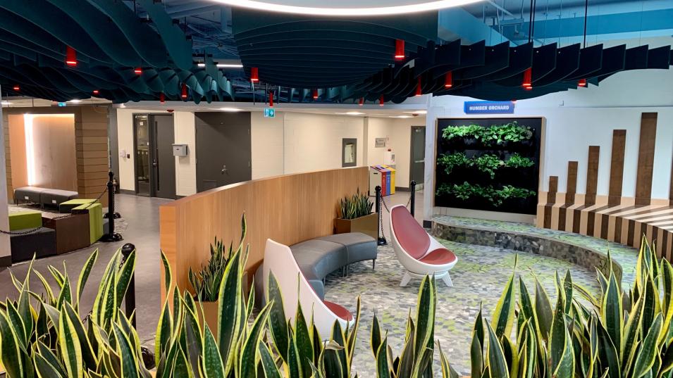 the new lab is a circular, open space with a blue ceiling and grass-like flooring. There are tall green plants in the foreground and large, shell-like chairs and a computer lab in the background.