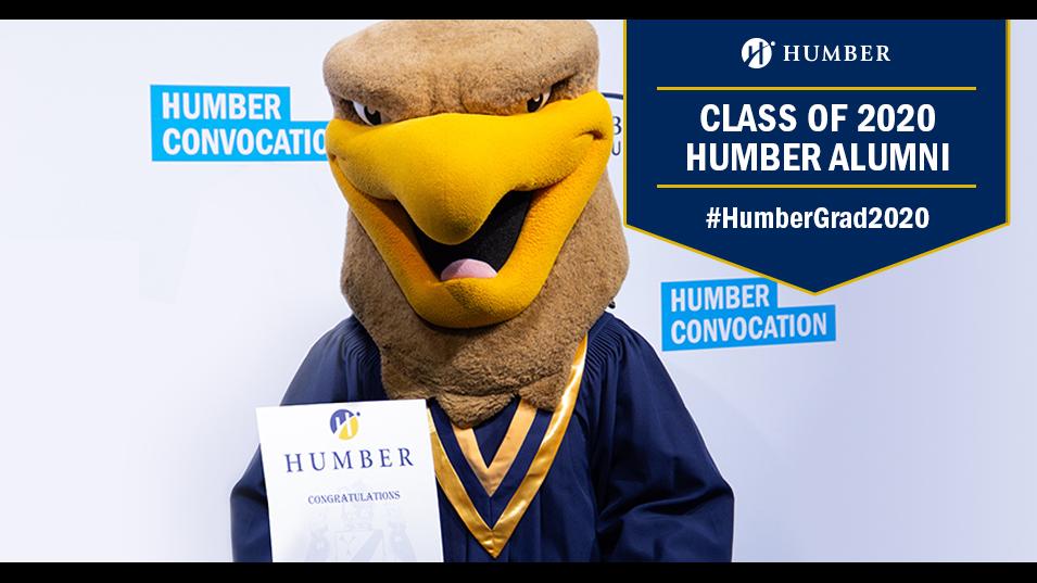 Humber Hawk in convocation gown